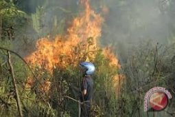 Kapolda Babel Minta Masyarakat Tidak Bakar Hutan