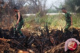 Pemkab Tingkatkan Kerja Sama Antisipasi Pembakaran Hutan