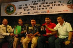 Lomba Foto Satwa Internasional