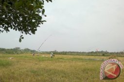 Keluhkan Tengkulak