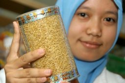 IPB Ciptakan Beras Tiruan
