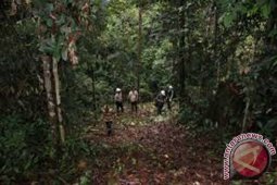 NTB  targetkan 35.000 ha hutan kemasyarakatan