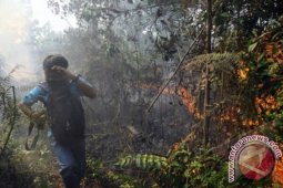 Kebakaran Lahan Riau