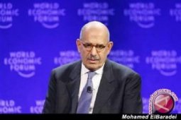Partai Salafi Mesir Tolak Penunjukan Elbaradei