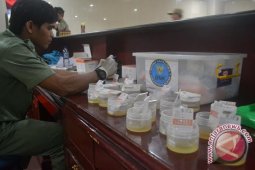 Anggota Satpol PP-PMK Gunakan Zat Adiktif
