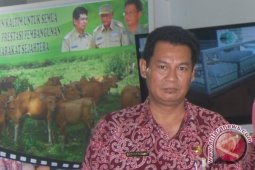 Disnak: Banyak Perlakuan Terhadap Hewan Kurban Menyimpang