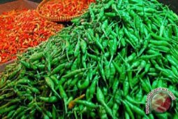 Harga Cabai Di Gorontalo Utara Rp140 Ribu/kg