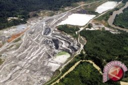 Walhi Babel Kecam Perumahan di Kawasan Hutan Bakau