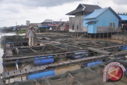 Banjar Programkan  Minapolitan