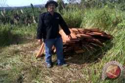 Petugas Temukan Pencurian Kayu Ulin di TNK