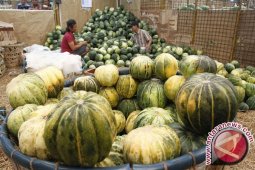Awal Ramadhan harga Blewah mahal