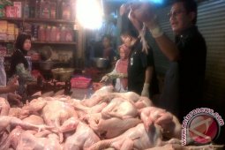 Pemkot Bogor sidak pedagang daging di pasar