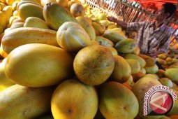 Pedagang Timun Suri Di Kalimalang Bekasi Berkurang