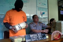 Polda Kalbar Tangkap Bandar Ganja 6,12 Kg
