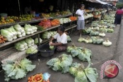Stok Sayur Lokal Di Pangkalpinang Terbatas