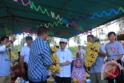 Para Petani di Balikpapan Dukung Pasangan Imdaad-Ipong