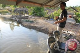 Sensasi "Strike" dan Gurihnya Nila Pantai Ambalat Samboja