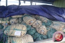 Balai Karantina Kesulitan Awasi Barang Luar Negeri