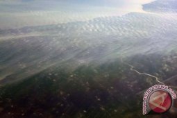 Asap Masih Menyelimuti Riau