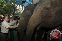 Inspeksi Mendadak di Taman Margasatwa