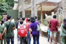Taman Safari luncurkan "Komodo Dragon Island"