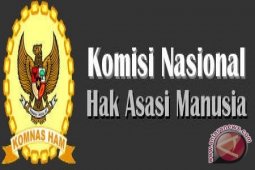 Komnas HAM : Tidak Masuk DPT Bisa Mengadu