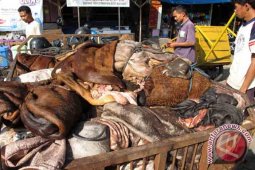 Kotabaru Kembangkan Kerajinan Kulit Sapi