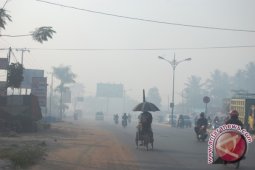 Kabut Asap Selimuti  Syamsudin Noor