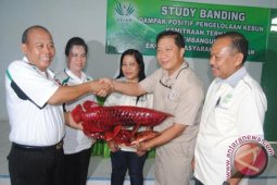 Bupati Sintang Studi Banding Sawit ke Batanghari Jambi