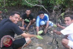 Grand Istana Rama Tanam Mangrove di JDP