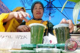 SIRUP PANDAN