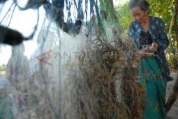 Kais Rumput Laut