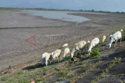 Manfaatkan Lahan Waduk
