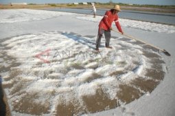 Harga Garam Diawal Musim