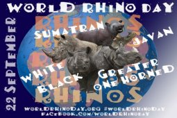 TSI Celebrates World Rhino Day