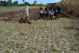 Pengairan Tulungagung Salahkan Petani soal Dampak Kekeringan