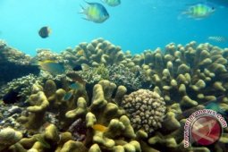 TAMAN LAUT OLELE GORONTALO