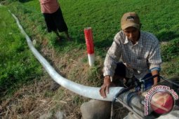 Pengairan Dengan Sumur Bor