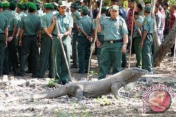 Program 1 Miliar Pohon