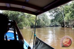 Hutan Bakau Air Tawar Jadi Ekowisata Menarik