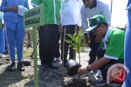 Kota Bengkulu miliki potensi ekowisata mangrove