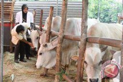 Karantina Pangkalpinang Lakukan Pengawasan 'Door to Door'