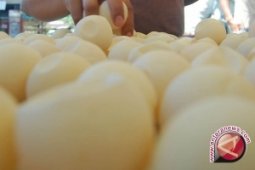 Perburuan Telur Penyu Kembali Marak Di Sambas