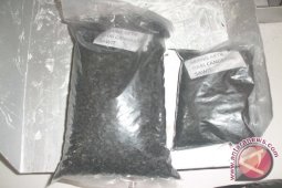Mukomuko perbanyak produksi arang aktif cangkang sawit