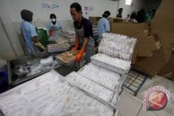 Pemerintah Kota Pangkalpinang Kembangkan Hasil Olahan Ikan