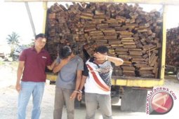 Polisi Amankan Dua Truk Angkut Kayu Tanpa Dokumen