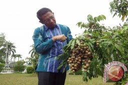 Pemkot Pontianak Terima 2 Penghargaan Nasional