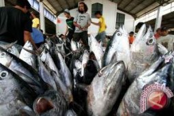 Kebutuhan Ikan Balikpapan Dipenuhi dari Transhipment