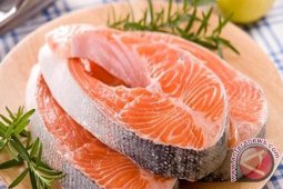 China to Build Fish Canning Industry in Kotabaru