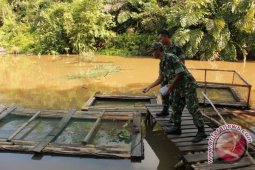 Artikel - Satgas TNI Berdayakan Perikanan Desa Tapal Batas